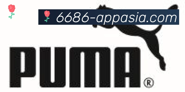 6686体育官网合作伙伴